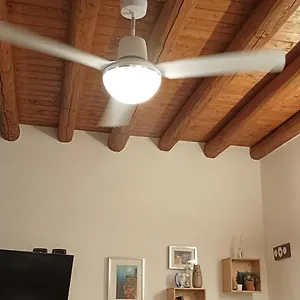 Luna Affittacamere